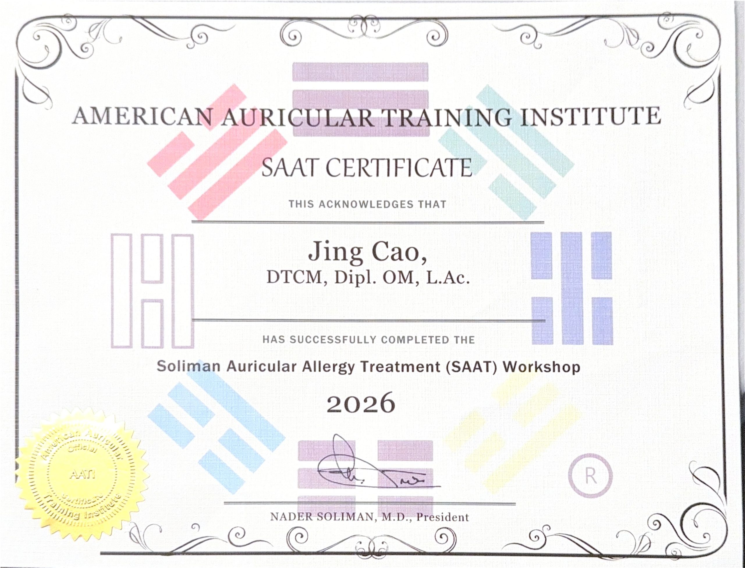SAAT Therapy Certification